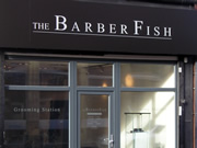 Example: The Barber Fish
