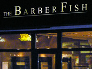 Example: The Barber Fish
